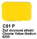 C51 P Žluť chromová střední Agama