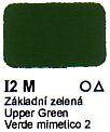 I2 M Základní zelená Agama