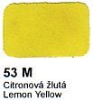 53 M Citronová žlutá Agama