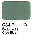 C34 P Grey Blue Agama