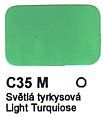 C35 M Světlá tyrkysová Agama