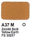 A37 M Zemitě žlutá FS 30257 Agama