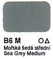 B6 M Mořská šedá střední Agama