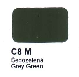 C8 M Grey Green Agama