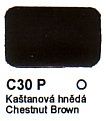 C30 P Chestnut Brown Agama