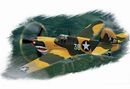 P-40E Kittyhawk Hobby Boss