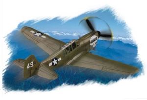 P-40N Warhawk Hobby Boss