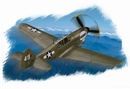 P-40N Warhawk Hobby Boss